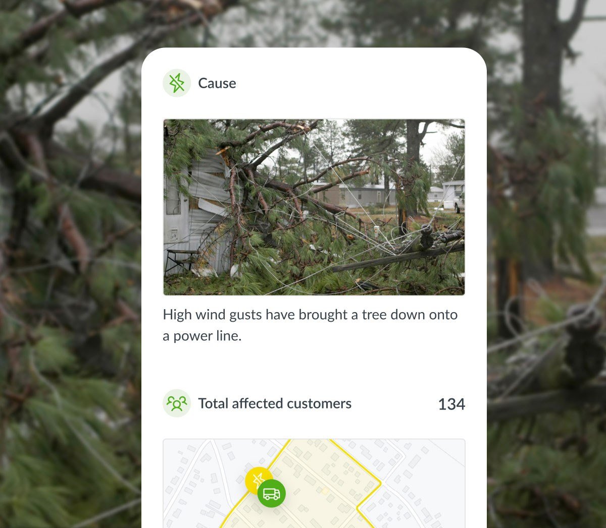 Outage details