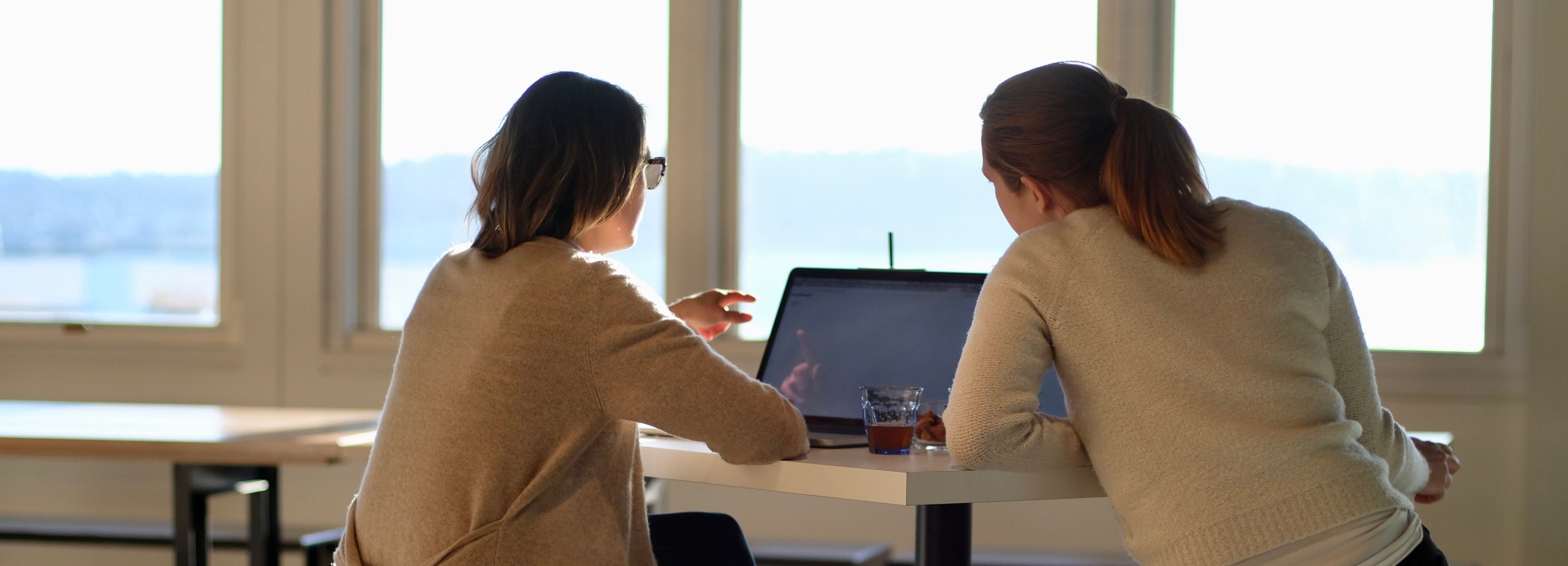 Two women coworkers looking at a laptop screen