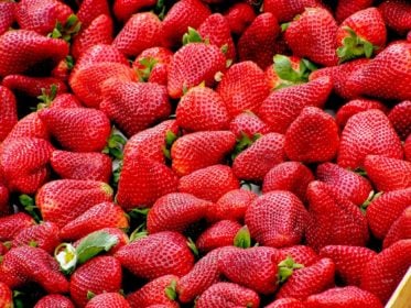 Strawberries Red Fruit Royalty Free 70746
